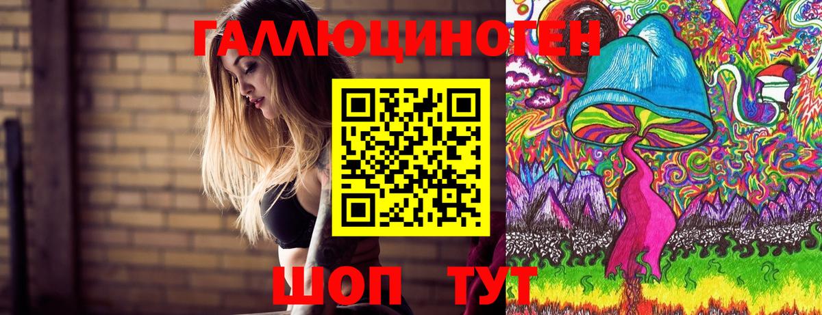 Псилоцибиновые грибы Psilocybine cubensis Ярославль